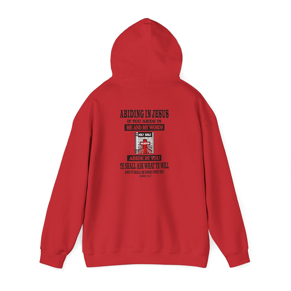 Thumbnail: Abiding in Jesus Hoodie Christian Faith Pullover with Bible and Cross Emblem