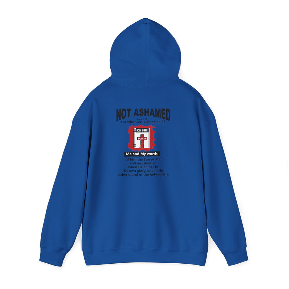 Thumbnail: Not Ashamed Hoodie Christian Scripture Hoodie Faith Hoodie
