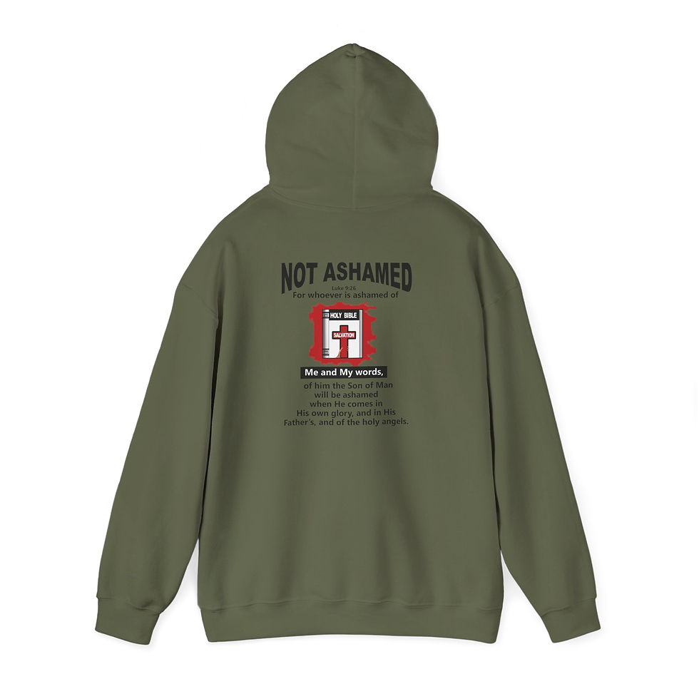 Thumbnail: Not Ashamed Hoodie Christian Scripture Hoodie Faith Hoodie
