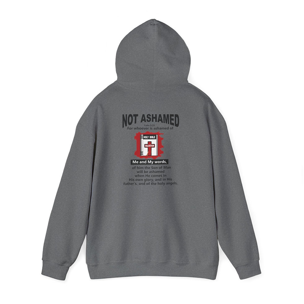 Thumbnail: Not Ashamed Hoodie Christian Scripture Hoodie Faith Hoodie