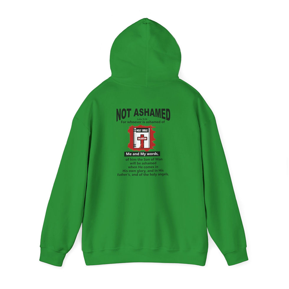 Thumbnail: Not Ashamed Hoodie Christian Scripture Hoodie Faith Hoodie