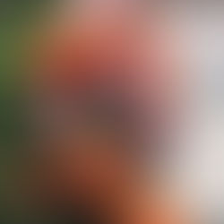 Day 1 - The Truth Is…You Are Loved