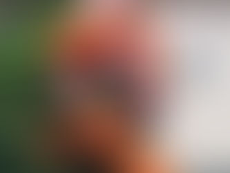 Day 1 - The Truth Is…You Are Loved