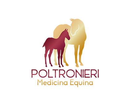 Prancheta 2 (1).png