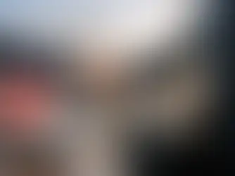 미국 현지 정착 지원 필요성, 왜 결과를 바꾸나