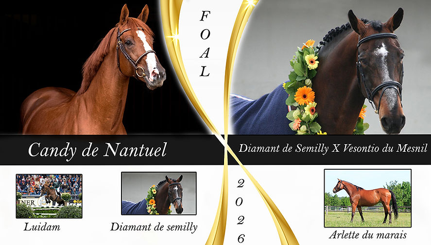 naissance arlette 2026P.jpg