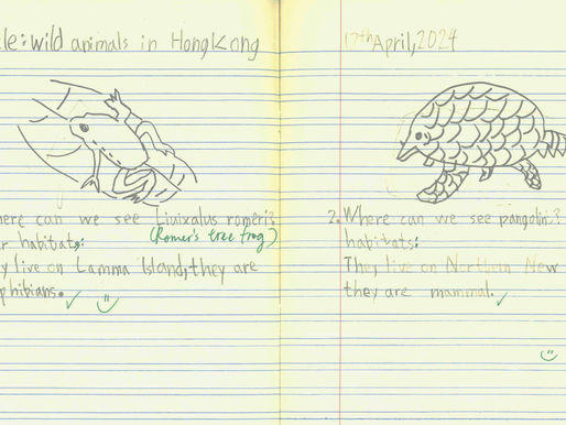 Wild animals in Hong Kong #3