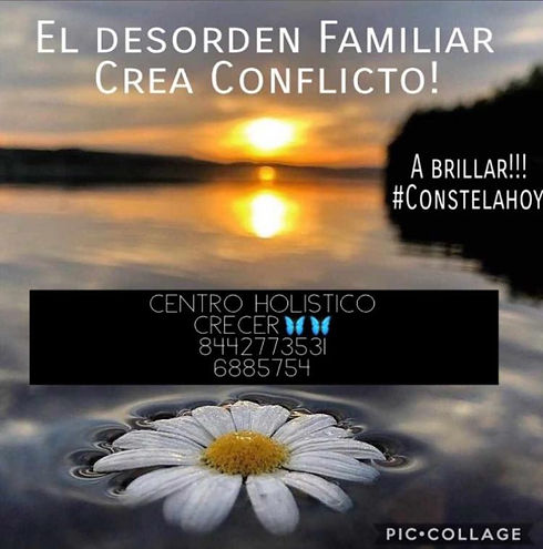 crecer_edited.jpg