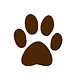 paw.jpg
