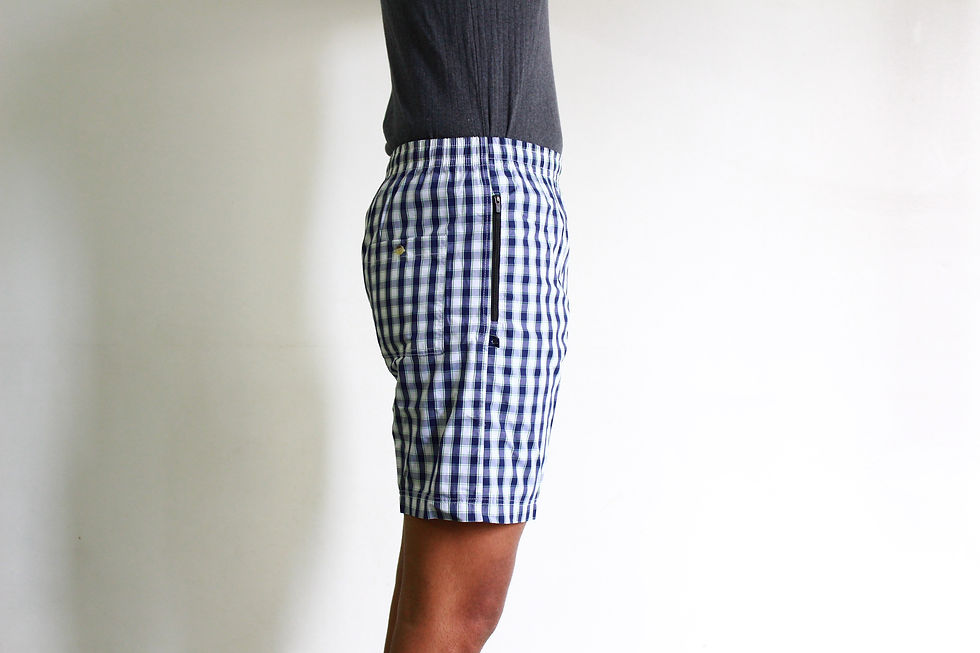 Thumbnail: Checks Shorts 2453