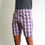 Thumbnail: Checks Shorts 89012