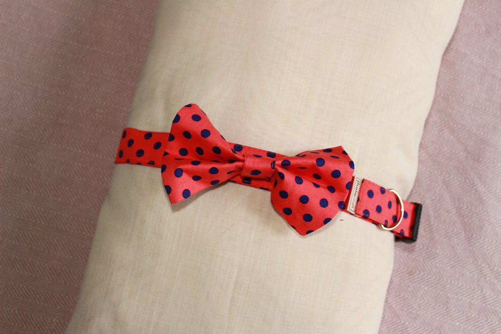 Pink Polka Dog Bowtie