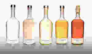 Codigo 1530 -Tequila Rosa