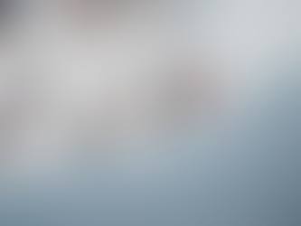 What have I learned from others?