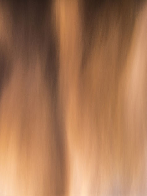 Dieu; une assurance tous risques.