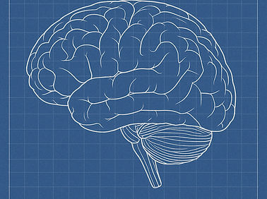 Brain blue_edited.jpg