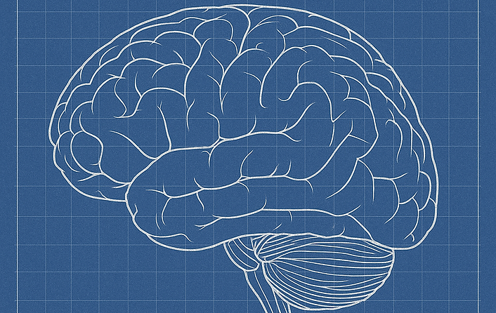 Brain blue.png