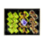 Party Tray A | (Cooked) All Rolls 22 pcs