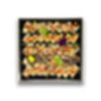 Party Tray G | Torched Oshizushi & Rolls 40 pcs