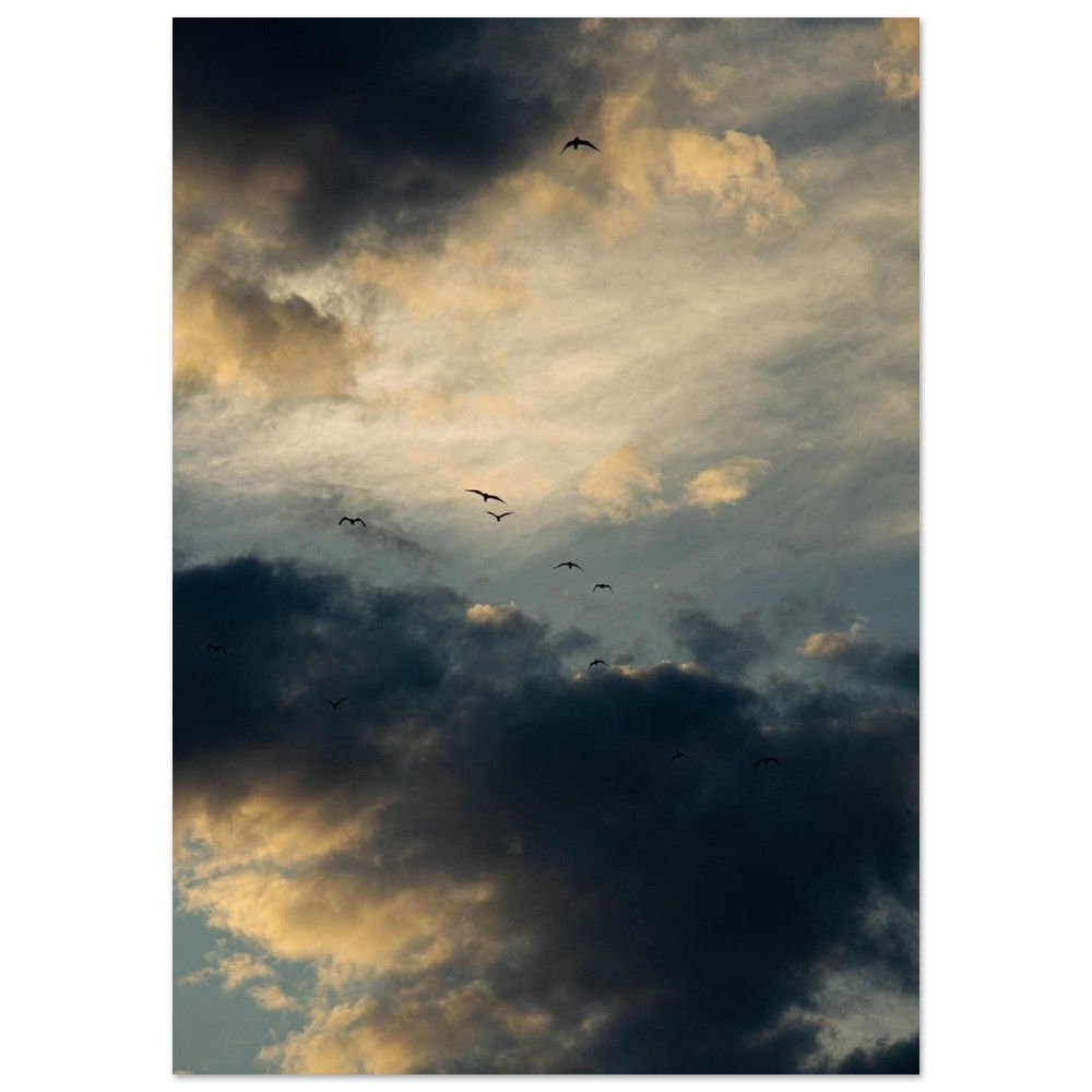 Cloudy Birds - Classic Matte Paper Poster