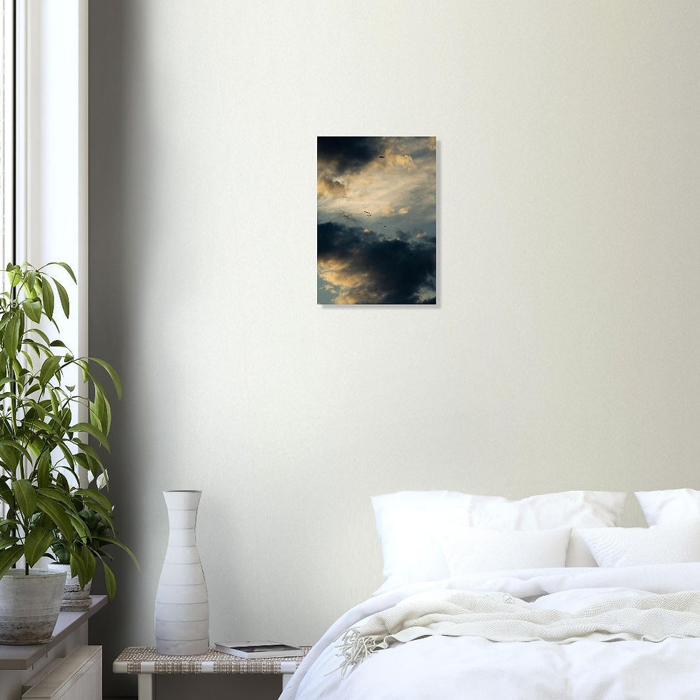 Thumbnail: Cloudy Birds - Classic Matte Paper Poster