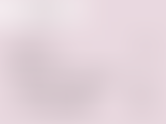 11/25（火）のメニュー