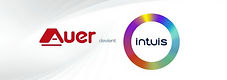 logo INTUIS