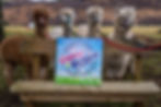 165144533_242867970853471_5387885950531194024_n