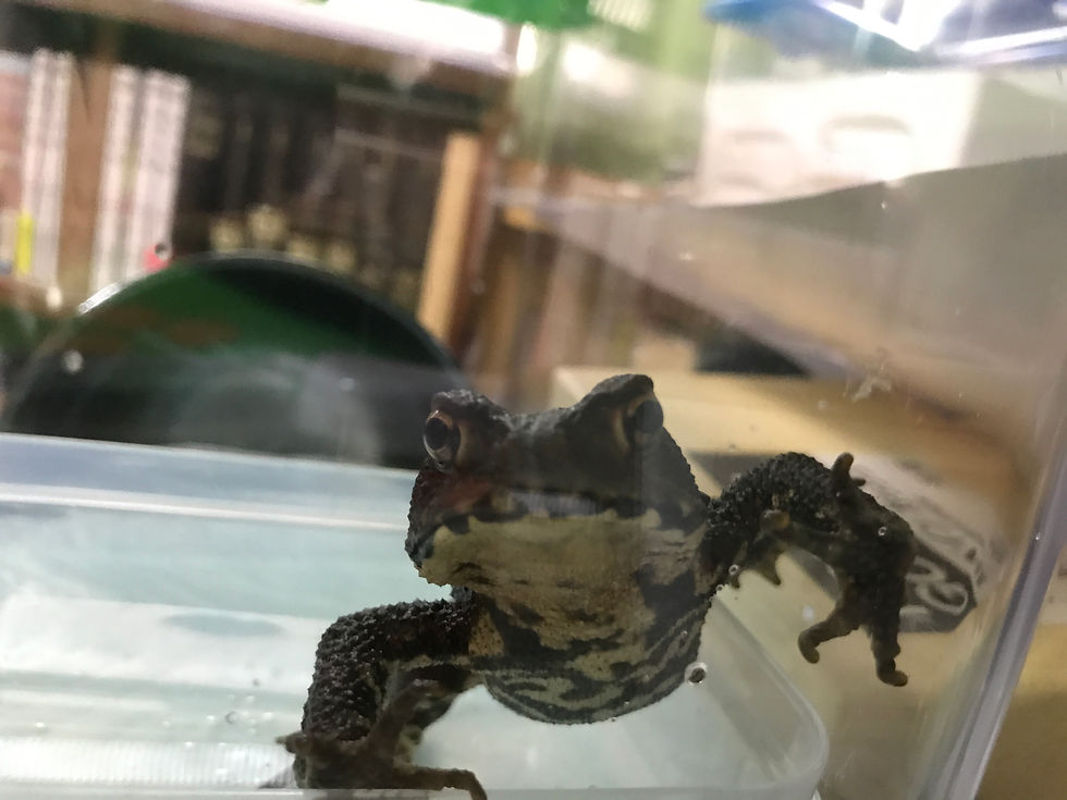 これからよろしくな