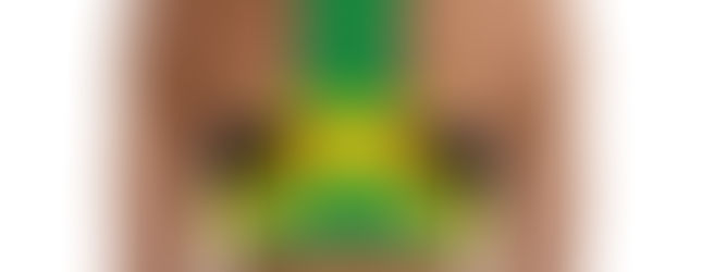 back of jamaican flag bra