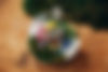 _V6A2039.jpg