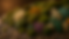 moss blur.png