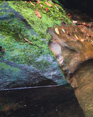 Photo of rock in water with moss on one side but a section clean where the water runs over it