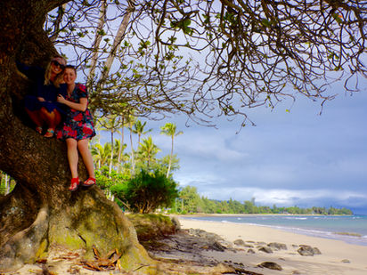 Reminiscing on Yoga, Meditation, and Pineapple on the North Shore, Oahu