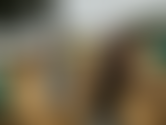 Lil' John Turns Up for Education