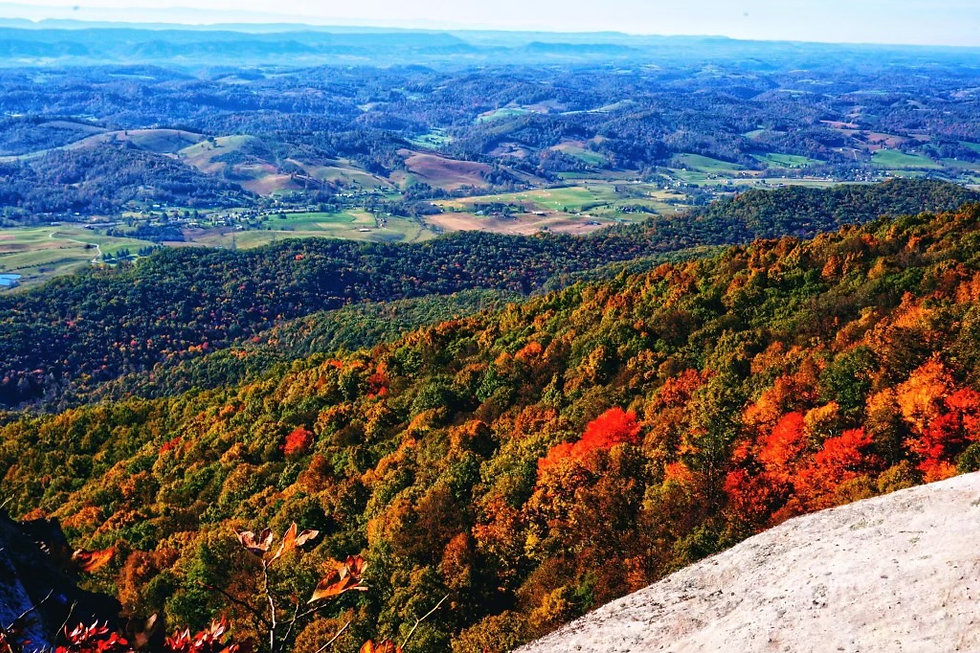 Beautiful Fall Foliage at Cumberland Gap
