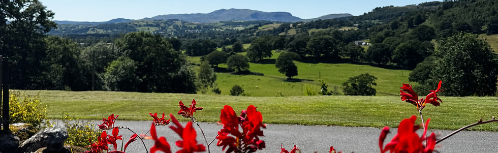 Stunning view from patio