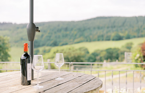 Wine with a view