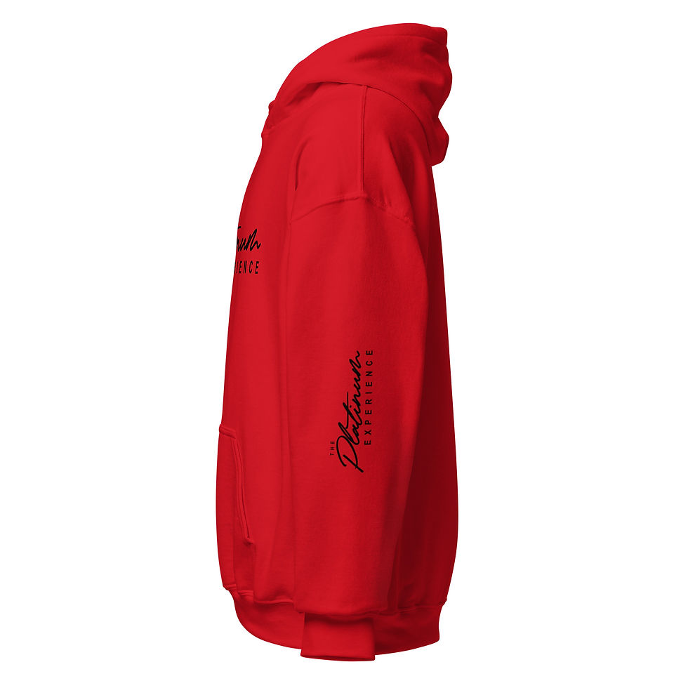 Thumbnail: Platinum Experience Unisex Hoodie (Black Letters)