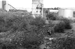 IMG_0731