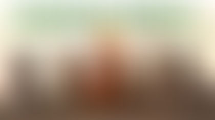 AVIAÇÃO EXÉRCITO - 105 ANOS