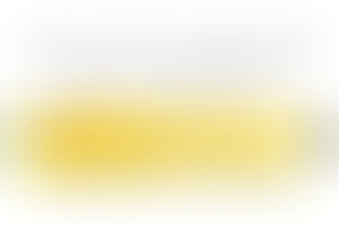 AVIAÇÃO - MODELO "QUEIJO SUIÇO"