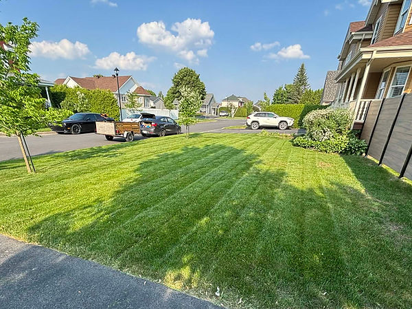 2da36362-b91f-4708-bdbb-939fc8e3a7c4_edi