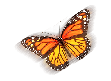 borboleta.png