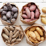 POTATOES 2 (2).jpg