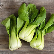 BOK CHOY (2).jpg