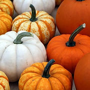 PUMPKINS (2).jpg