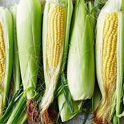 CORN (2).jpg
