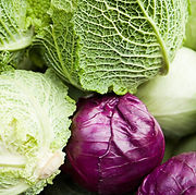 CABBAGE (2).jpg