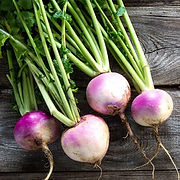 TURNIPS (2).jpg